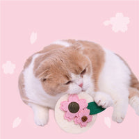 HKM-0069181 Sakura Fruit Cat Teething Stick Toy for Kittens - Natural Loofah & Catnip