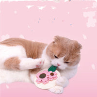 HKM-0069181 Sakura Fruit Cat Teething Stick Toy for Kittens - Natural Loofah & Catnip