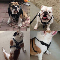 HKM-0069821 Punk Style Rivet Chest Strap for Large Dogs ¨C Adjustable Leather Harness in Multiple Colors