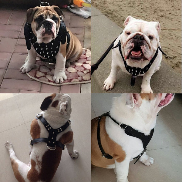 HKM-0069821 Punk Style Rivet Chest Strap for Large Dogs ¨C Adjustable Leather Harness in Multiple Colors