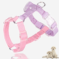 HKM-007059 Color-Coded Anti-Breakaway Pet Leash and Chest Strap for Cats and Dogs