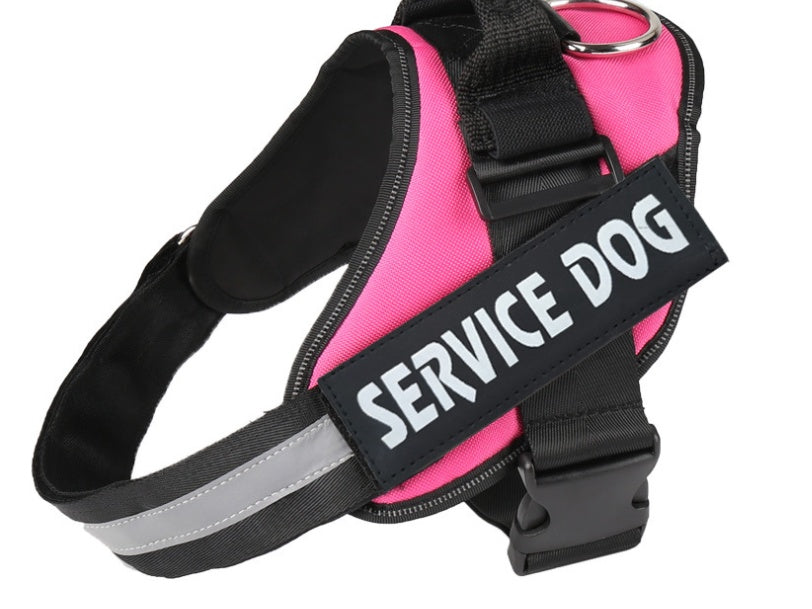 HKM-0072381 Durable Velcro Dog Name Sticker - Reusable & Washable, Multiple Sizes Available