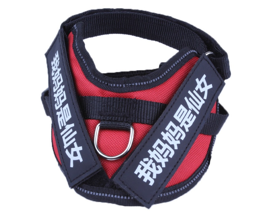 HKM-0072381 Durable Velcro Dog Name Sticker - Reusable & Washable, Multiple Sizes Available