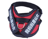 HKM-0072381 Durable Velcro Dog Name Sticker - Reusable & Washable, Multiple Sizes Available