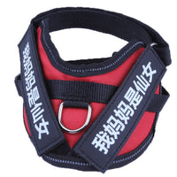 HKM-0072381 Durable Velcro Dog Name Sticker - Reusable & Washable, Multiple Sizes Available