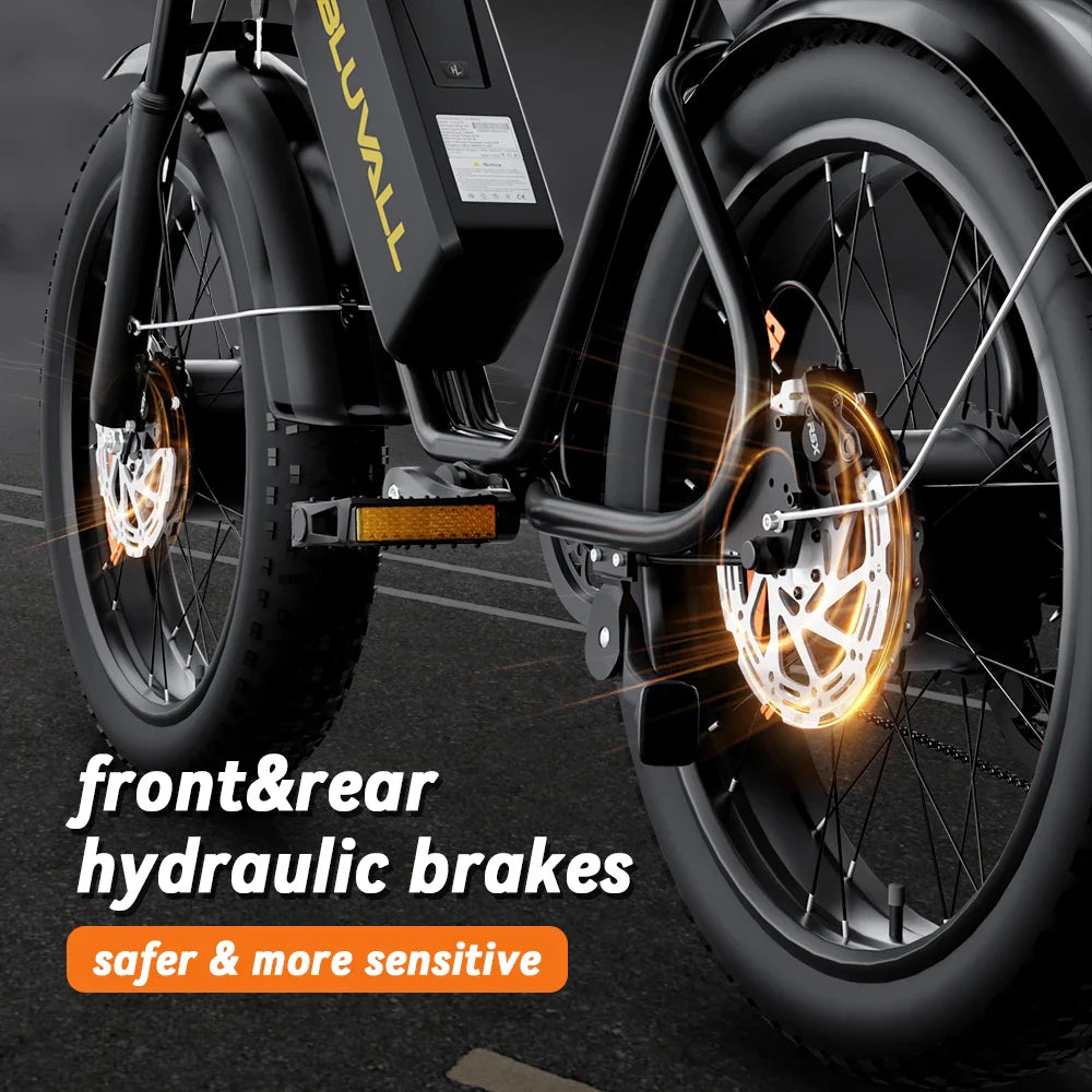 HKM-007251 Long Range 2000W 52V Dual Battery Mountain E-Bike with 20" Fat Tires and Hydraulic Disc Brakes
