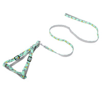 HKM-0075581 Cartoon Love Design Nylon Dog Traction Rope with Chest Strap - Available in Multiple Colors