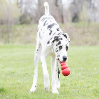 HKM-0077117 Durable Rubber Dog Toy - Gourd Shape, Food Leakage Design, Multiple Sizes Available