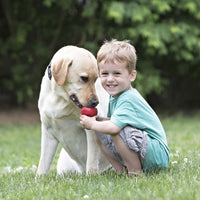 HKM-0077117 Durable Rubber Dog Toy - Gourd Shape, Food Leakage Design, Multiple Sizes Available