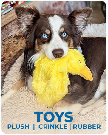 HKM-0079549 Squeaky Plush Duck Dog Toy for All Breeds - No Stuffing, Soft, Fun for Indoor Play