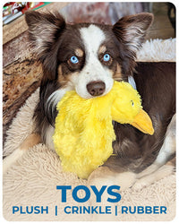 HKM-0079549 Squeaky Plush Duck Dog Toy for All Breeds - No Stuffing, Soft, Fun for Indoor Play