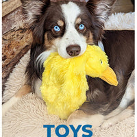 HKM-0079549 Squeaky Plush Duck Dog Toy for All Breeds - No Stuffing, Soft, Fun for Indoor Play