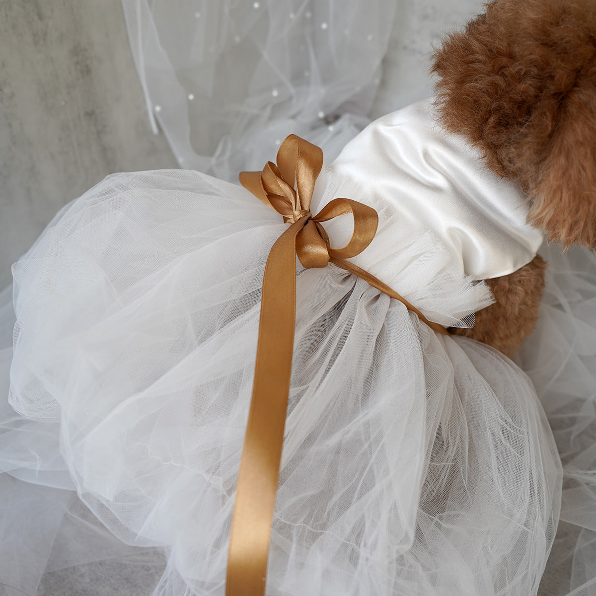 HKM-0080445 Elegant Ribbon Wedding Dress for Cats and Dogs - Various Sizes Available