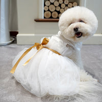 HKM-0080445 Elegant Ribbon Wedding Dress for Cats and Dogs - Various Sizes Available