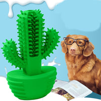 HKM-0082877 Cactus Dog Molar Stick - Natural Rubber Chew Toy for Medium to Large Dogs