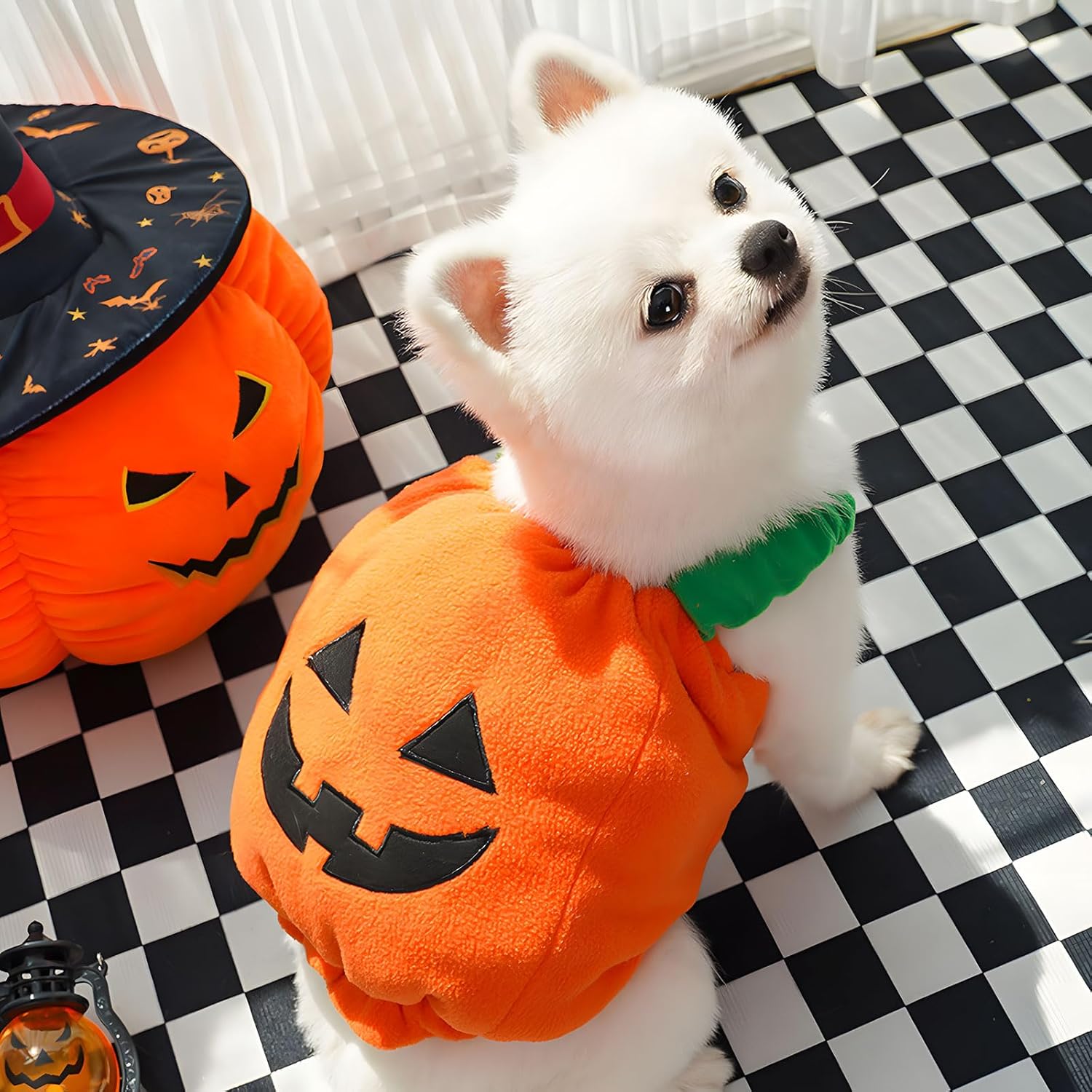 HKM-0089277 Plush Pumpkin Halloween Costume for Small to Medium Dogs and Cats