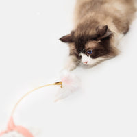 HKM-0089789 Bite-Resistant Cat Feather Toy with Tap Mechanism for All Ages