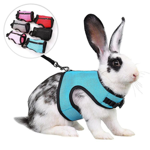 HKM-009171 Pet Traction Vest for Mini Pets - Adjustable Mesh Harness for Guinea Pigs, Rabbits - Available in Multiple Colors