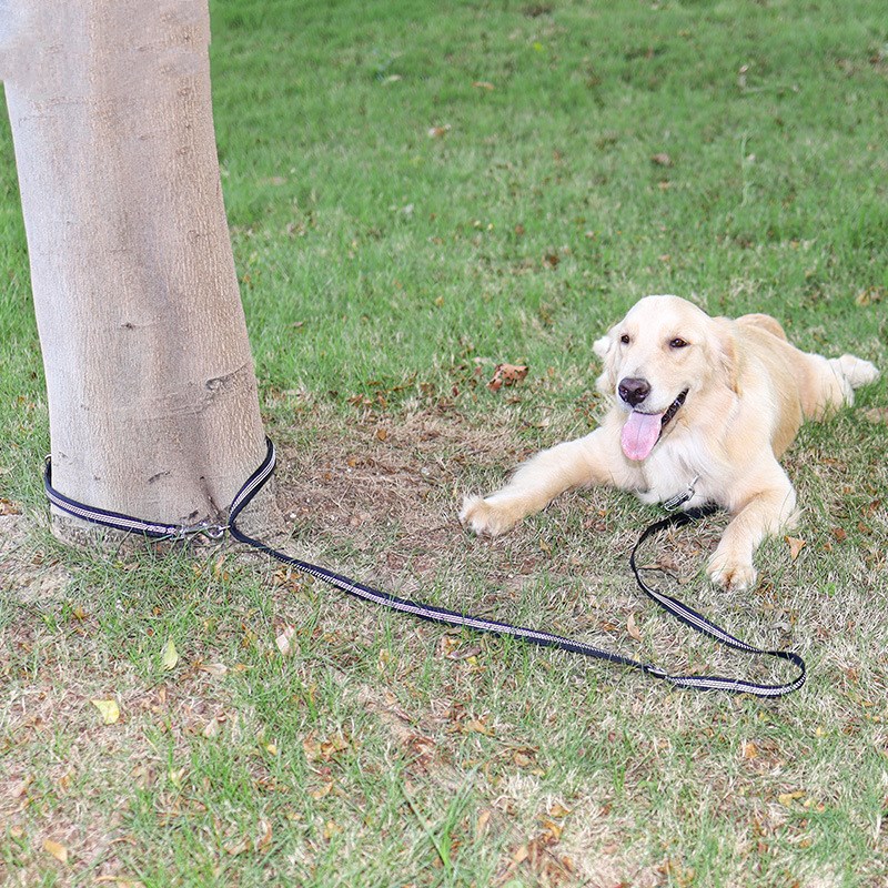 HKM-0103101 Flexible Nylon Dog Leash ¨C Versatile Traction Rope for Safe Walks