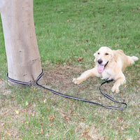 HKM-0103101 Flexible Nylon Dog Leash ¨C Versatile Traction Rope for Safe Walks