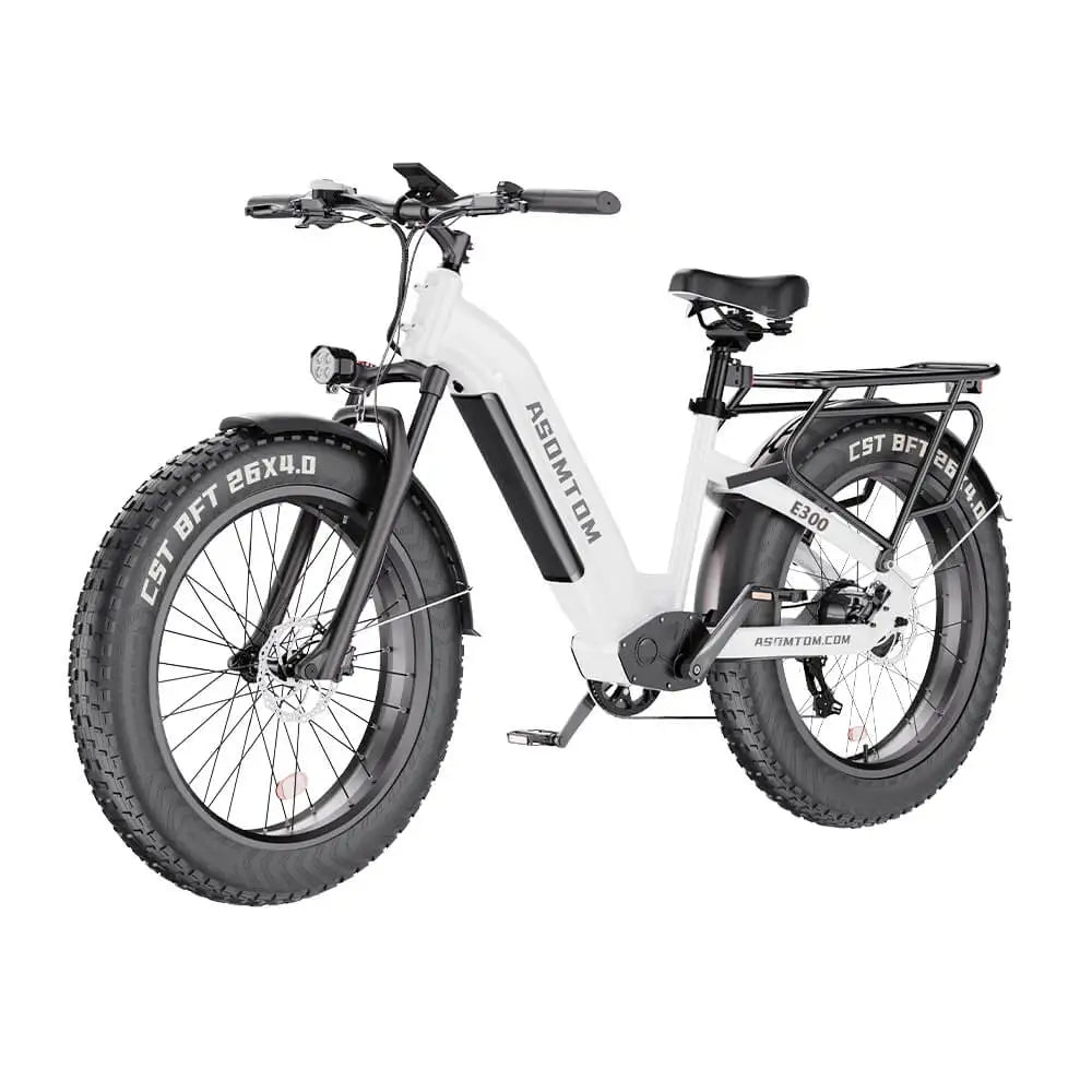 HKM-010323 48V 500W Electric City Bike for Adults with Central Motor and Disc Brake System