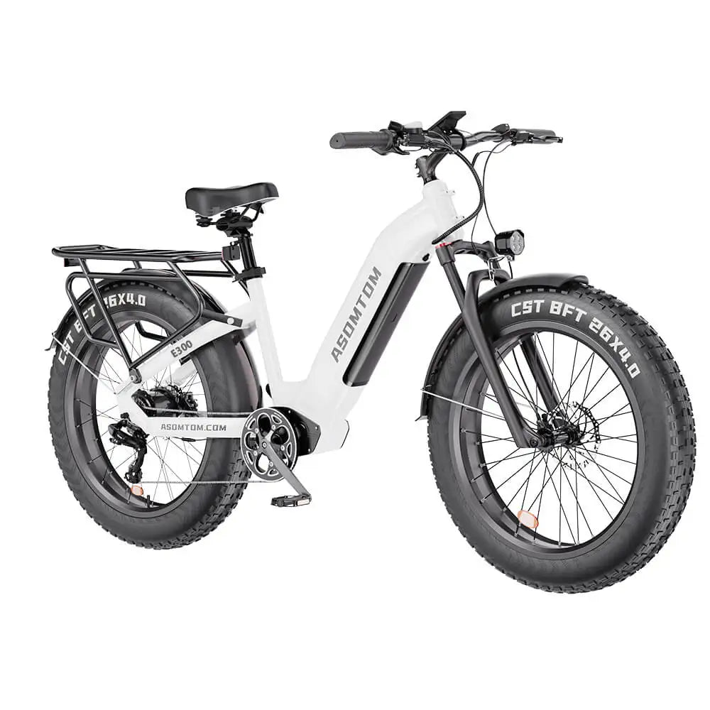 HKM-010323 48V 500W Electric City Bike for Adults with Central Motor and Disc Brake System