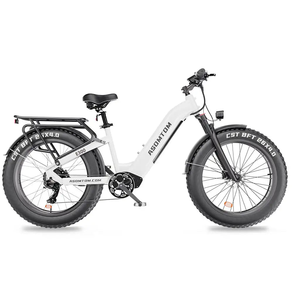 HKM-010323 48V 500W Electric City Bike for Adults with Central Motor and Disc Brake System