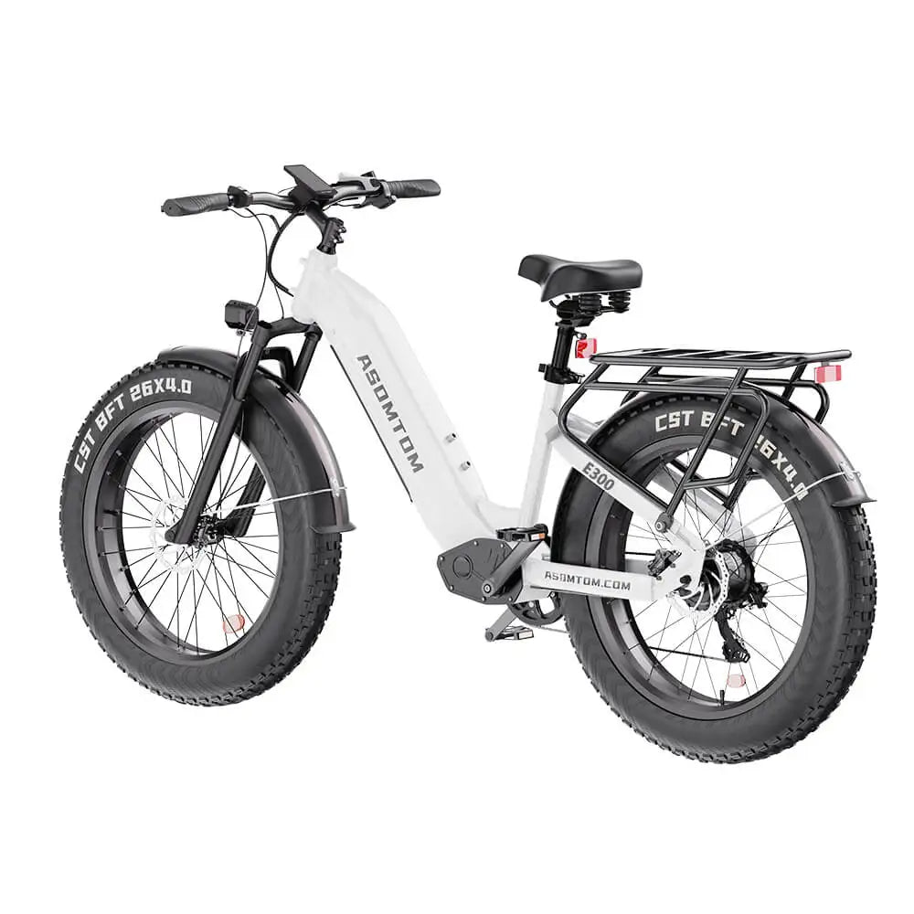HKM-010323 48V 500W Electric City Bike for Adults with Central Motor and Disc Brake System