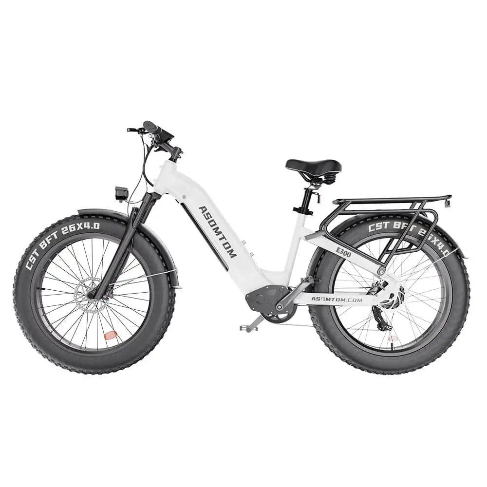 HKM-010323 48V 500W Electric City Bike for Adults with Central Motor and Disc Brake System