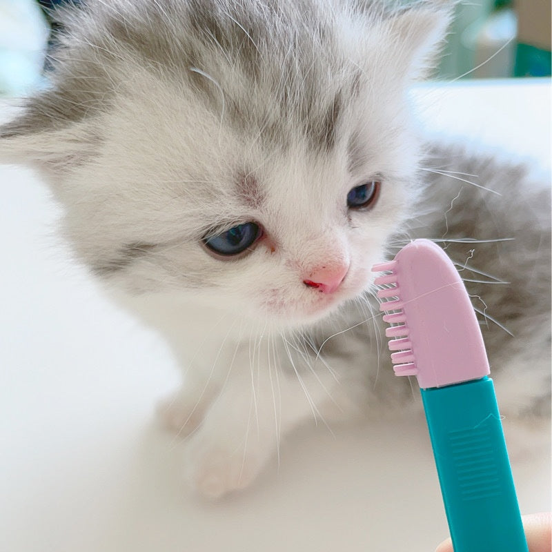 HKM-0104893 Cat Eye Brush for Grooming, Available in Blue and Pink, Ideal for Weddings, Holidays and Gift Giving