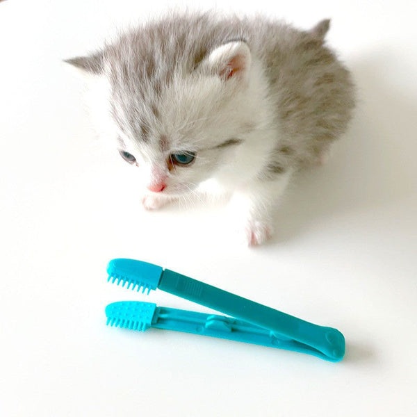 HKM-0104893 Cat Eye Brush for Grooming, Available in Blue and Pink, Ideal for Weddings, Holidays and Gift Giving