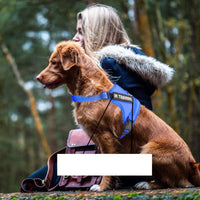 HKM-0105149 Personalized Pet Harness for Optimal Comfort and Control
