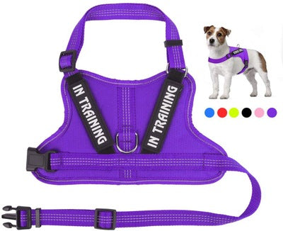 HKM-0105149 Personalized Pet Harness for Optimal Comfort and Control