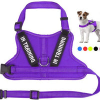 HKM-0105149 Personalized Pet Harness for Optimal Comfort and Control