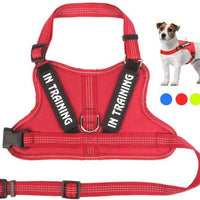 HKM-0105149 Personalized Pet Harness for Optimal Comfort and Control