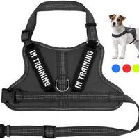 HKM-0105149 Personalized Pet Harness for Optimal Comfort and Control