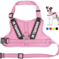 HKM-0105149 Personalized Pet Harness for Optimal Comfort and Control