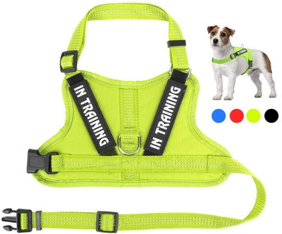 HKM-0105149 Personalized Pet Harness for Optimal Comfort and Control