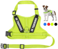 HKM-0105149 Personalized Pet Harness for Optimal Comfort and Control
