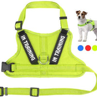 HKM-0105149 Personalized Pet Harness for Optimal Comfort and Control