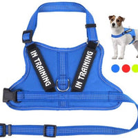 HKM-0105149 Personalized Pet Harness for Optimal Comfort and Control