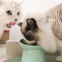HKM-0105277 Elevated Anti Vomiting Cat Bowl with Non-Slip Base for Comfortable Feeding