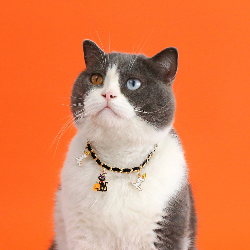 HKM-0111037 Velvet Halloween Pet Collar with Monochrome Dripping Bat and Metal Pumpkin, Ghost, Spider Accessories