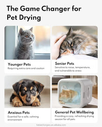 HKM-011411 Pet Hair Dryer Box for Cats and Dogs - 2000W Low Noise ABS Material, Efficient Indoor Drying
