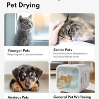 HKM-011411 Pet Hair Dryer Box for Cats and Dogs - 2000W Low Noise ABS Material, Efficient Indoor Drying