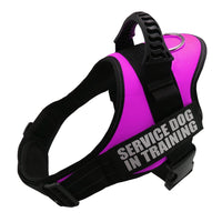HKM-0119869 Explosion-Proof Traction Belt - Durable 100% Nylon, Soft Webbing, Strong Wear Resistance
