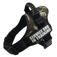 HKM-0119869 Explosion-Proof Traction Belt - Durable 100% Nylon, Soft Webbing, Strong Wear Resistance