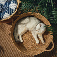 HKM-0120765 Cattail Cat Litter Mat with Rattan Frame and Sleeping Pad - Fashionable Weaving Design