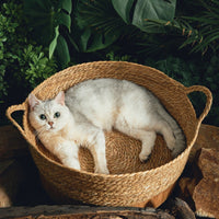 HKM-0120765 Cattail Cat Litter Mat with Rattan Frame and Sleeping Pad - Fashionable Weaving Design