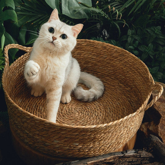 HKM-0120765 Cattail Cat Litter Mat with Rattan Frame and Sleeping Pad - Fashionable Weaving Design